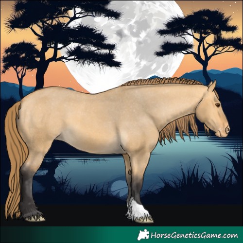 Horse Color:Buckskin Dun Varnish