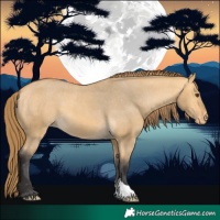Horse Color:Buckskin Dun Varnish