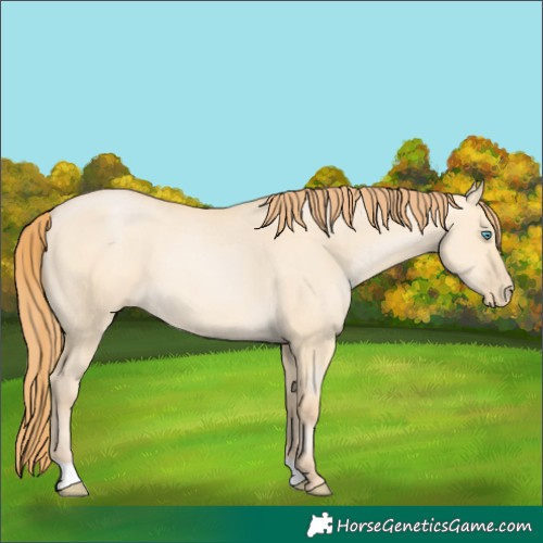 Horse Color:Buckskin Pearl Dun 