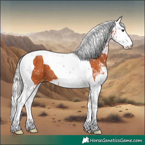 Horse Color:Chocolate Silver Bay Splash Tobiano Skewed Appaloosa 