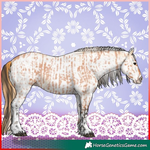Horse Color:Bay Roan and White Spotted Red Dun Rabicano