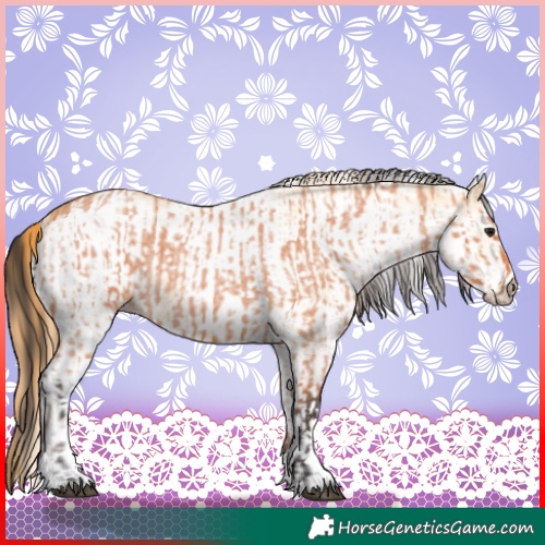 Horse Color:Bay Roan  and White Spotted Red Dun Rabicano 