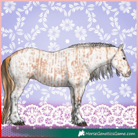 Horse Color:Bay Roan and White Spotted Red Dun Rabicano