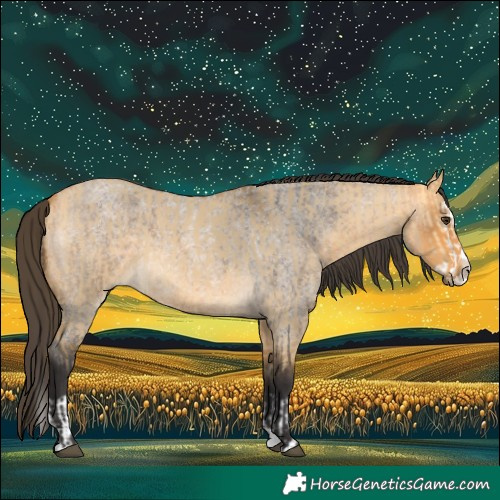 Horse Color:Buckskin Dun Splash and Buckskin Roan Splash