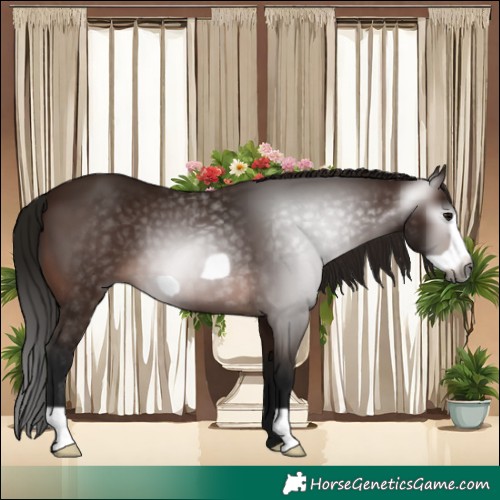 Horse Color:Gray Bay Frame 