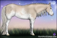 Horse Color:White Spotted Chocolate Palomino Pearl 