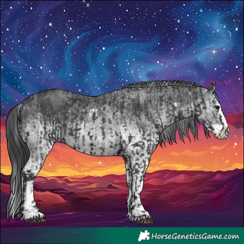 Horse Color:Black and White Spotted Black Splash
