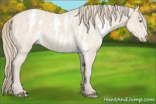 Horse Color:Perlino Sabino  Brindle