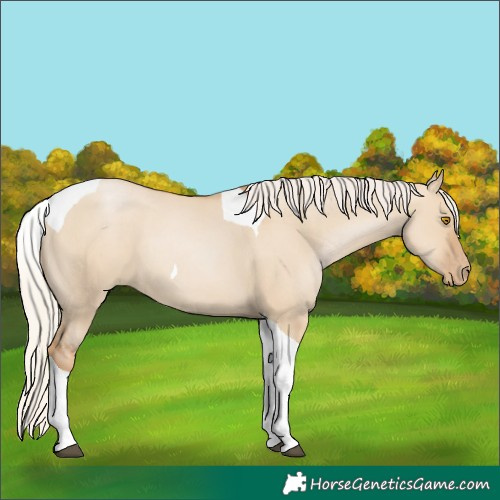 Horse Color:Silver Grullo Pearl Tobiano