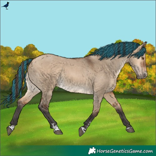 Horse Color:Painted Bay Dun
