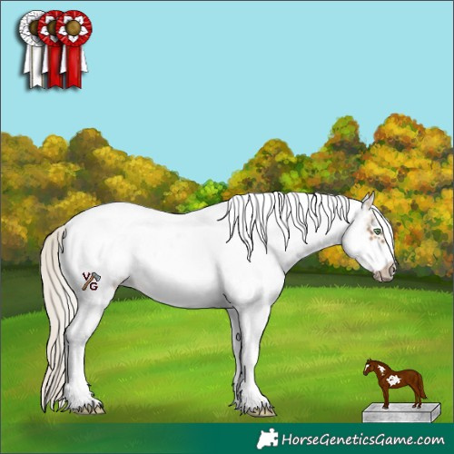 Horse Color:White Spotted Silver Buckskin Frame 