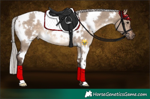 Horse Color:White Spotted Silver Brown Dun