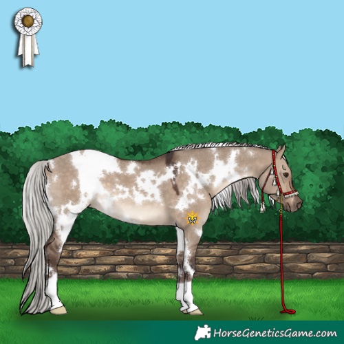 Horse Color:White Spotted Silver Brown Dun 