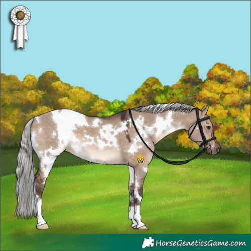 Horse Color:White Spotted Silver Brown Dun 