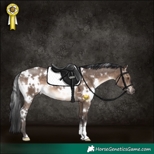 Horse Color:White Spotted Brown Dun 