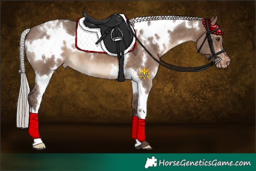 Horse Color:White Spotted Silver Brown Dun Appaloosa