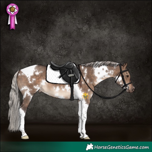 Horse Color:White Spotted Silver Brown Dun Tobiano 