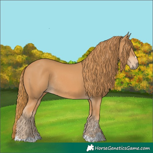 Horse Color:Chestnut Rabicano 