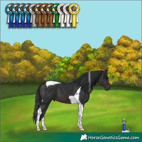 Horse Color:Brown Tobiano 