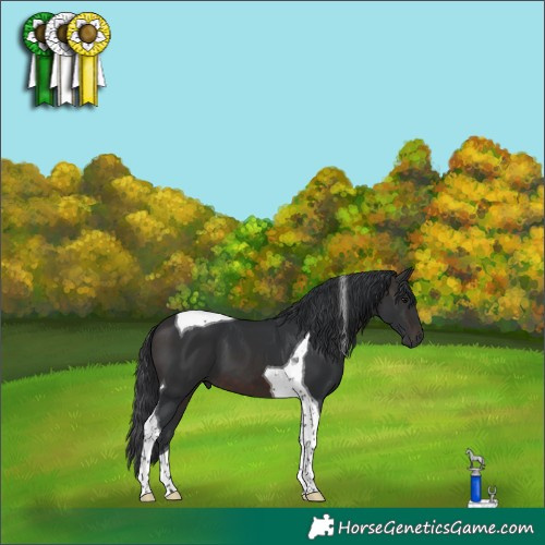 Horse Color:Brown Tobiano 