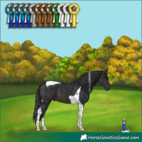 Horse Color:Brown Tobiano 