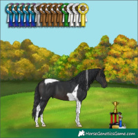 Horse Color:Brown Tobiano 