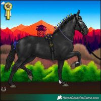 Horse Color:Gray Black 
