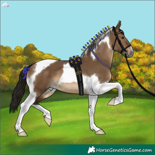 Horse Color:Gray Brown Dun Tobiano