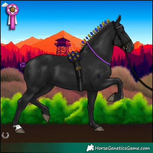 Horse Color:Gray Black 