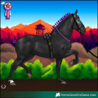 Horse Color:Gray Black