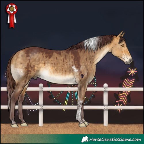 Horse Color:Chocolate Buckskin Dun Tobiano Brindle 