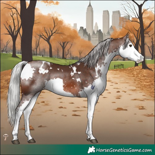 Horse Color:White Spotted Silver Brown Mushroom Splash Tobiano 