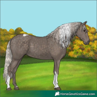 Horse Color:Silver Black Tobiano