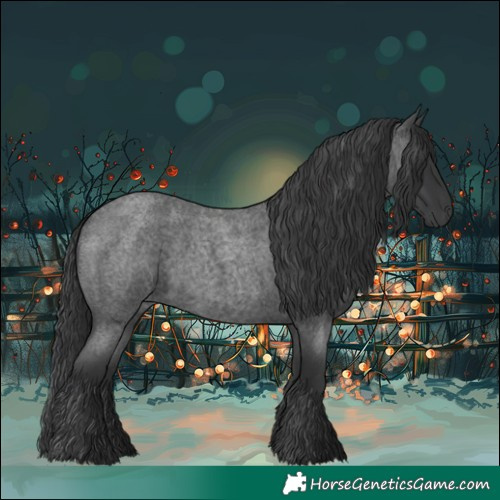Horse Color:Blue Roan 