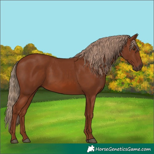 Horse Color:Chestnut 