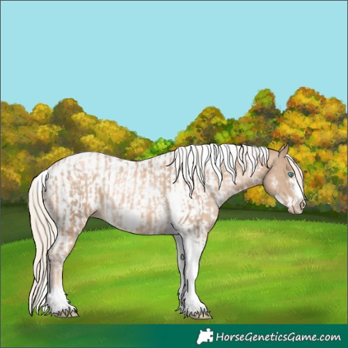 Horse Color:Chocolate Palomino Pearl Tobiano Frame  and Chocolate Palomino Pearl Tobiano Frame Appaloosa 