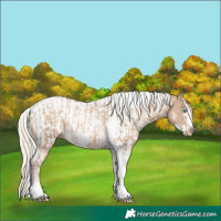 Horse Color:Chocolate Palomino Pearl Tobiano Frame  and Chocolate Palomino Pearl Tobiano Frame Near Leopard 