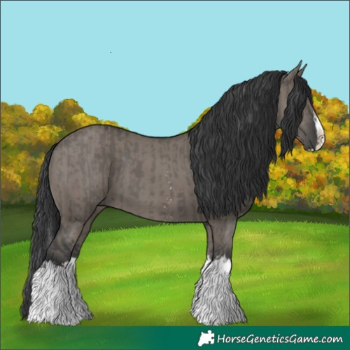 Horse Color:Grullo Sabino Splash  and Grullo Sabino Splash 