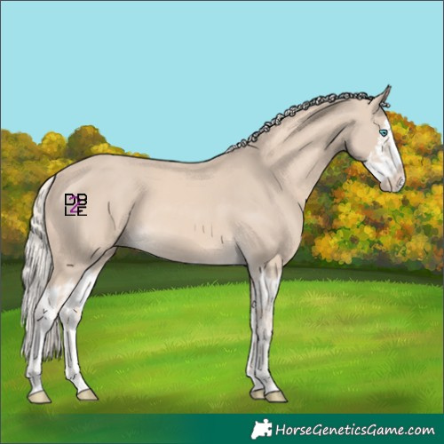 Horse Color:Cremello Splash  and Cremello Splash 