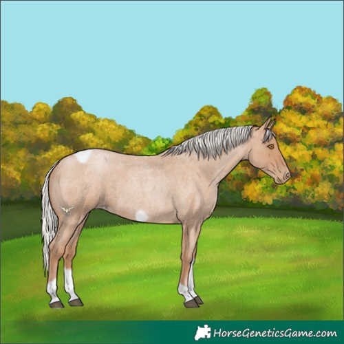 Horse Color:Silver Blue Roan Pearl Tobiano Frame