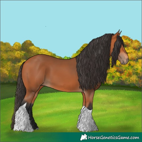Horse Color:Bay Tobiano Rabicano