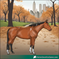 Horse Color:Bay Tobiano Rabicano 