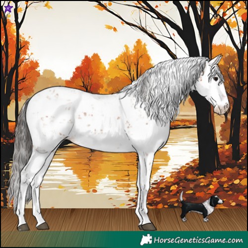 Horse Color:Bay Sabino 