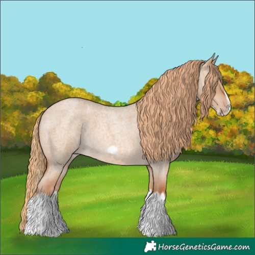 Horse Color:Red Dun Roan Splash Frame Rabicano
