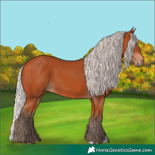 Horse Color:Silver Bay 