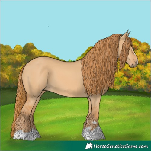 Horse Color:Red Dun 