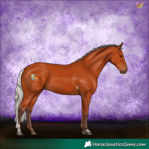 Horse Color:Silver Bay Tobiano Rabicano