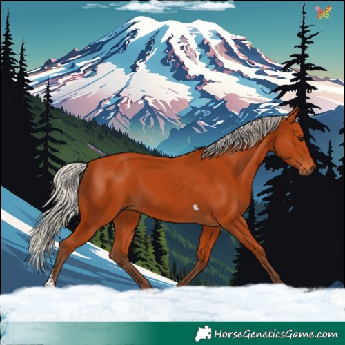 Horse Color:Silver Bay Tobiano Rabicano