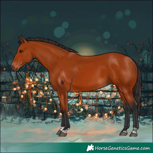 Horse Color:Bay Tobiano Rabicano 