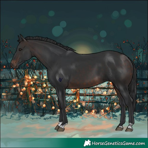 Horse Color:Brown Tobiano Rabicano
